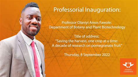 bu political science|political scientists in south africa.